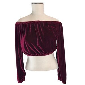 The Hanger Off The Shoulder Stretch Velvet Crop Top in Burgundy Whimsigoth